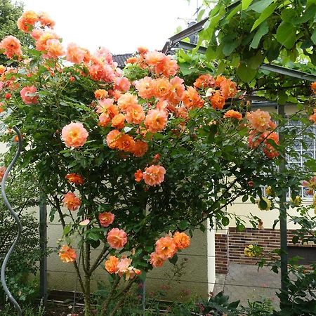 Ferienwohnung Storchennest In Itzgrund-Kaltenbrunn Kaltenbrunn  エクステリア 写真