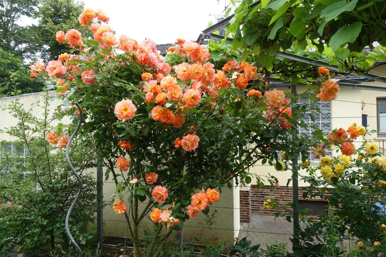 Ferienwohnung Storchennest In Itzgrund-Kaltenbrunn Kaltenbrunn  エクステリア 写真